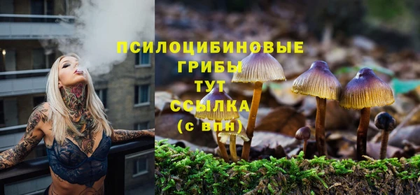 спайс Абдулино