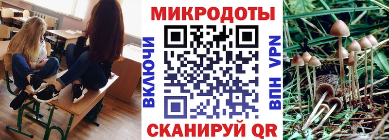 Псилоцибиновые грибы MAGIC MUSHROOMS  магазин продажи   Азов 